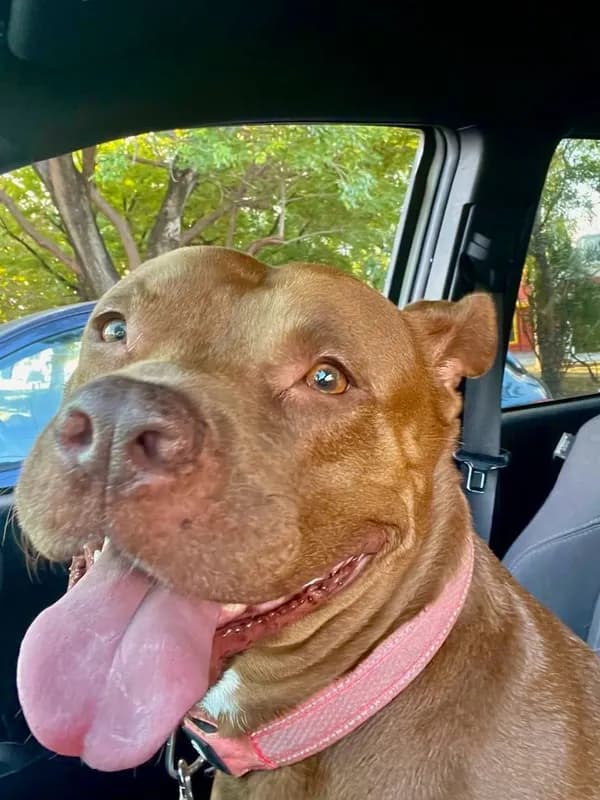 Nuestra inspiración: Maya